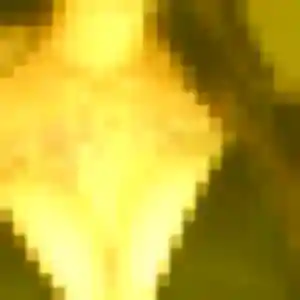 Mahaut (38 ans) à Rombies-et-Marchipont propose un plan cul ce soir