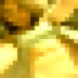 plan cul à Rosny-sous-Bois : photo de Victoire, 20 ans - accès libre