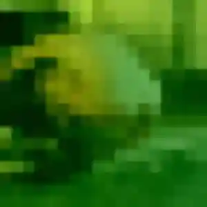 Apolline, 34 ans, veut un plan cul à Rosny-sur-Seine