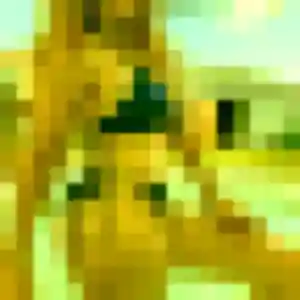 Sexy Giulia, 26 ans à Rosult - la contacter