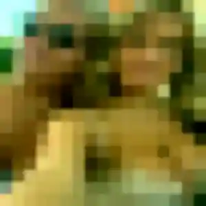 Photo exclusive de Prisca, 31 ans à Rouffignac-Saint-Cernin-de-Reilhac - rencontre coquine