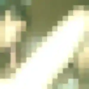 Selma (32 ans) à Rougé cherche un plan cul ce soir