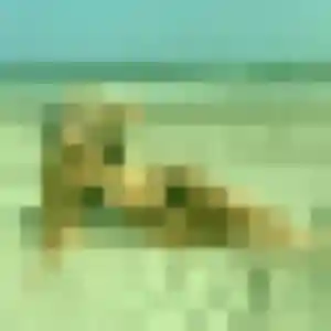 Thais, 39 ans, en ligne à Rousies pour une rencontre coquine