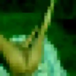 Elia, 35 ans, cherche un plan cul à Rouville