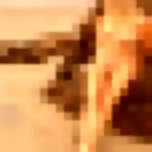 Soraya, 27 ans, veut un plan cul à Roye