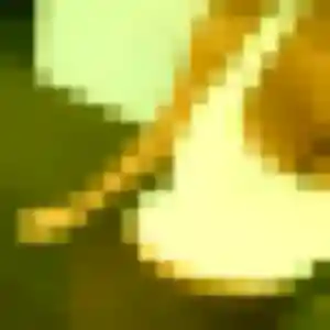 Photo sexy de Assia, 19 ans à Rubempré - rencontre coquine