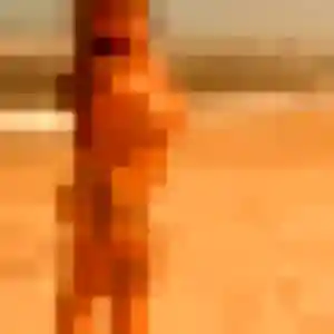 Découvre Constance, 30 ans à Ruffigné en t'inscrivant