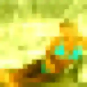 Jolie Mia, 23 ans à Sablons sur Huisne - voir sa photo