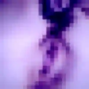 Photo exclusive de Felicite, 20 ans à Saint-Aubin-Celloville - rencontre sans lendemain