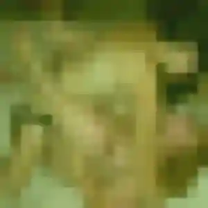 Profil de Lina à Saint-Aubin-du-Cormier (22 ans) - plan cul anonyme