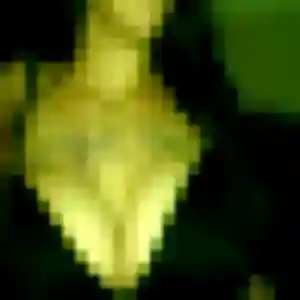 Photo sexy de Nour, 36 ans à Saint-Augustin - plan discret