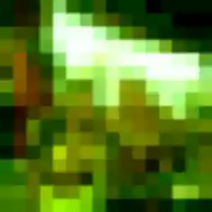 Honorine, femme de 19 ans cherche plan cul à Saint-Baudelle