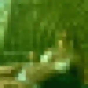 Mila, 39 ans, connectée à Saint-Baudelle pour un plan cul