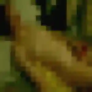 Photo exclusive de Isaure, 39 ans à Saint-Beauzély - rencontre coquine