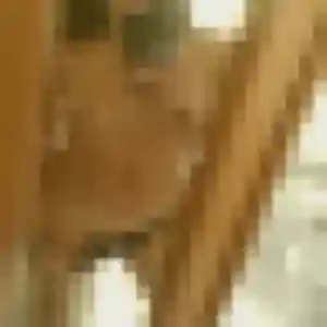 Luna (36 ans) à Saint-Bueil cherche un plan cul aujourd'hui
