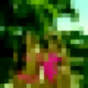 Soraya, 29 ans, cherche un plan cul à Saint-Clément
