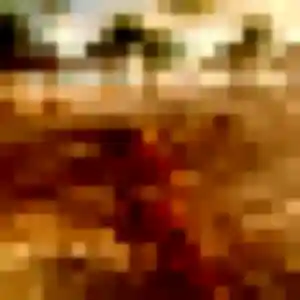 Alya (31 ans) à Saint-Cloud propose un plan cul maintenant