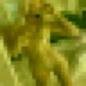 Belle Lina, 21 ans à Saint-Cloud - la contacter