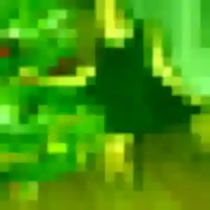 plan cul à Saint-Contest : photo de Selma, 36 ans - sans engagement