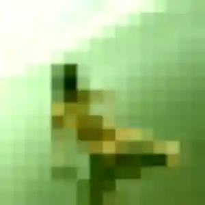 Découvre Ilana, 25 ans à Saint-Cyr-l'École en privé