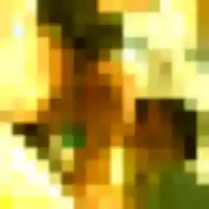 Lilas, femme de 39 ans veut plan cul à Saint-Denis-Lanneray