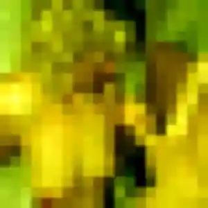 Lilas (35 ans) à Saint-Didier-des-Bois attend un plan cul maintenant