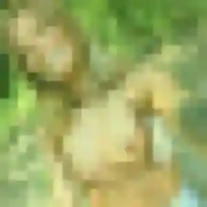 Photo exclusive de Mila, 38 ans à Saint-Étienne-de-Maurs - plan discret