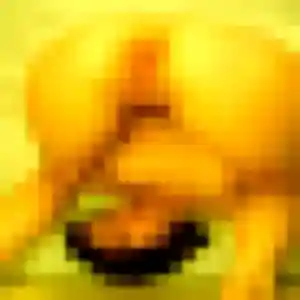 Mailys, 26 ans, disponible à Saint-Étienne-du-Rouvray pour un plan cul