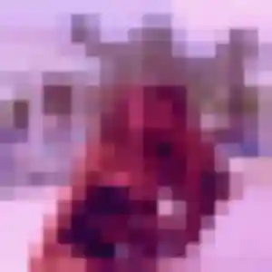 Contacte Nolwenn, 28 ans à Saint-Étienne-du-Vauvray en t'inscrivant