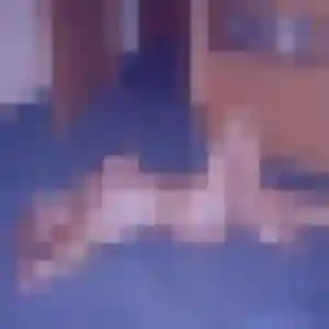 Photo de Flore à Saint-Félix (36 ans) - plan cul anonyme