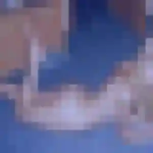 Sana, 25 ans, en ligne à Saint Geniez d'Olt et d'Aubrac pour une rencontre coquine