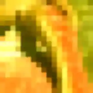 Photo de Nolwenn à Saint-Germain-du-Pinel (27 ans) - plan cul discret