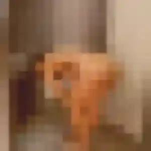 Apolline, femme de 37 ans cherche plan cul à Saint-Germain-du-Teil