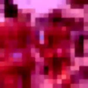 Noemi (31 ans) à Saint-Germain-la-Blanche-Herbe cherche une rencontre rapidement