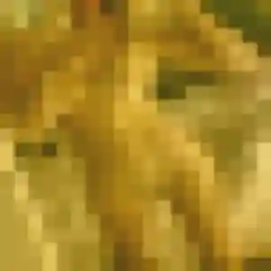 Charmante Lina, 30 ans à Saint-Germain-le-Gaillard - la contacter