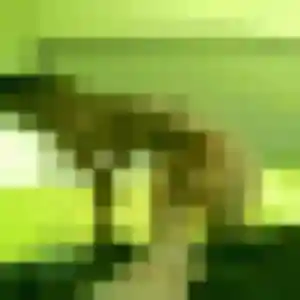 Lyana (19 ans) à Saint-Germain-le-Gaillard cherche un plan cul aujourd'hui