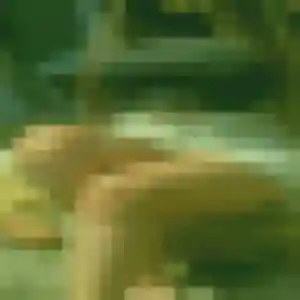 plan cul à Saint-Germain-sur-Avre : photo de Louane, 29 ans - accès libre