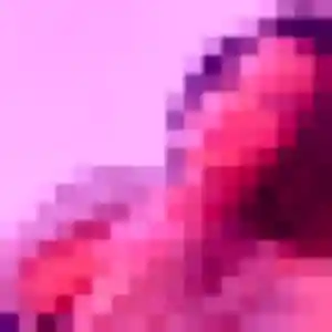 Anissa, 21 ans, disponible à Saint-Gervais-les-Bains pour une rencontre coquine