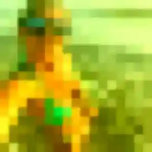 Sexy Djenna, 39 ans à Saint-Gilles - la contacter