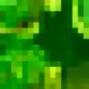 Photo privée de Mia, 38 ans à Saint-Hilaire-du-Harcouët - rencontre sans lendemain