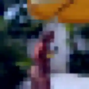 Lina (29 ans) à Saint-Jean-de-Cornies cherche une rencontre ce soir