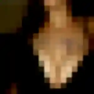 Découvre Mahaut, 27 ans à Saint-Jean-de-la-Neuville en t'inscrivant