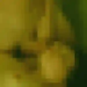 Sexy Anissa, 23 ans à Saint-Jean-de-Valériscle - la contacter