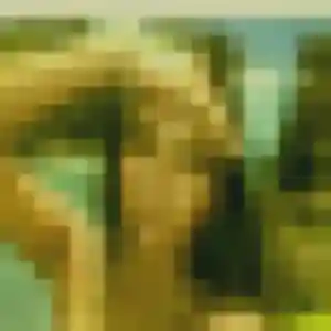 Prisca, femme de 37 ans cherche plan cul à Saint-Laurent-du-Maroni