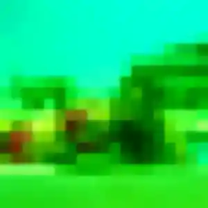 Photo de Leila à Saint-Laurent-Nouan (37 ans) - plan cul anonyme