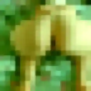 Violette de Saint-Laurent-Nouan, 33 ans - plan cul en toute liberté