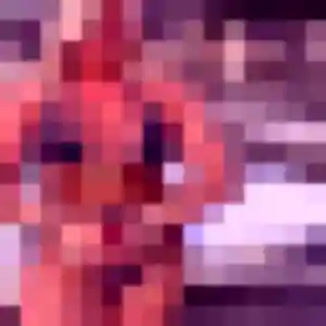 Découvre Eglantine, 29 ans à Saint-Lubin-des-Joncherets en privé