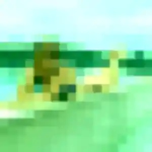 Rencontre Alya, 24 ans à Saint-Luperce gratuitement