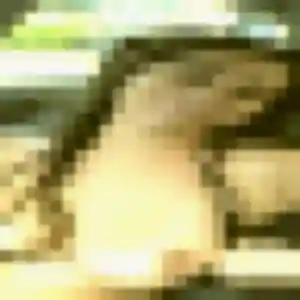 Profil de Feriel à Saint-Magne (29 ans) - plan cul gratuit
