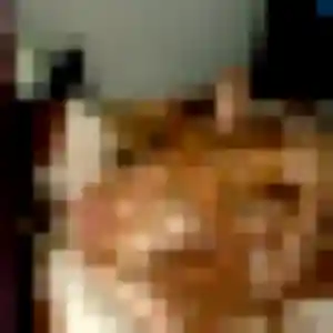 Découvre Maya, 32 ans à Saint-Malo en privé